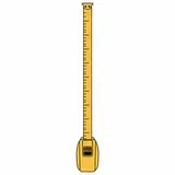 身長は170cmのまま
